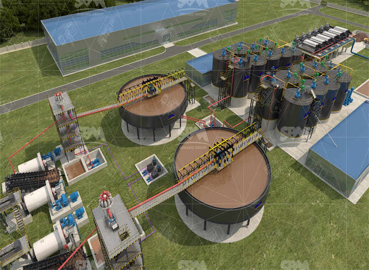 Case Study: 1000TPH Gold Crushing Plant in Africa