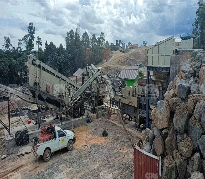 Portable Jaw Crusher for Gold Mining in Zimbabwe